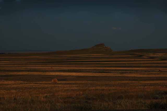 The fields around Billings